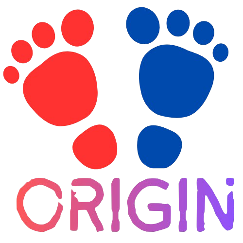 ORIGIN